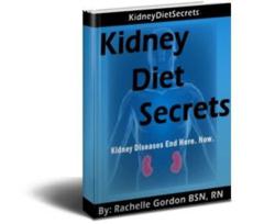 kidney disease diet review